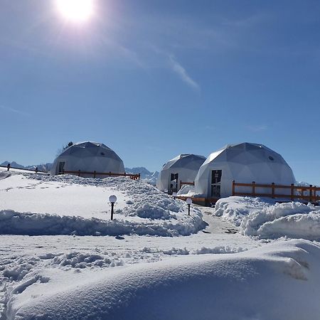 Glamping Pasieka Namiot Glamp Bukowina Tatrzanska - Domki W Gorach Groń Exterior foto