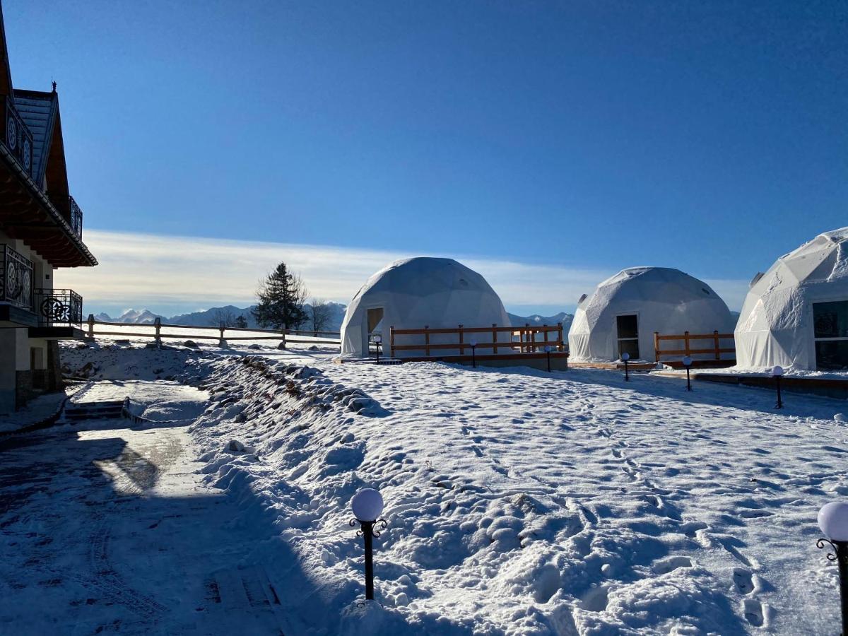 Glamping Pasieka Namiot Glamp Bukowina Tatrzanska - Domki W Gorach Groń Exterior foto